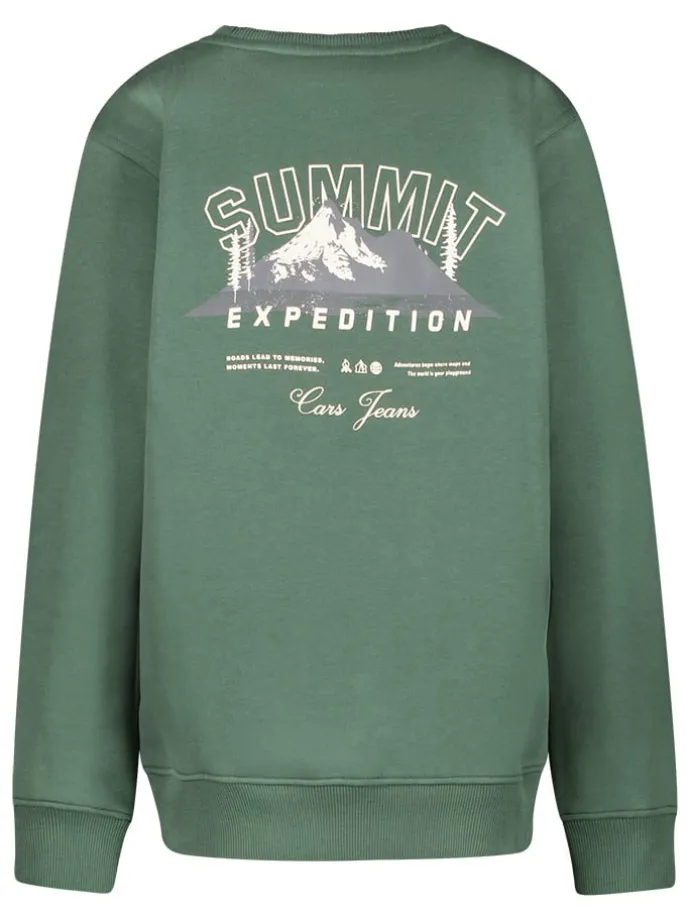 Sweatshirt "Taray" in Grün
