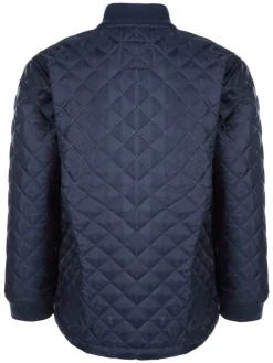 Thermo-Anzug Tiger in 2048 Navy Blazer