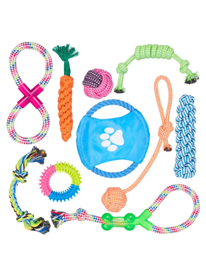 10tlg. Hundespielzeug Set