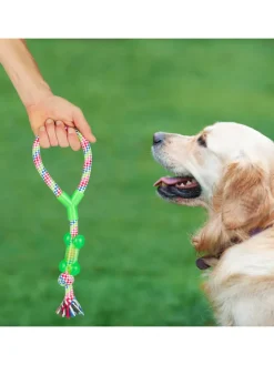 10tlg. Hundespielzeug Set
