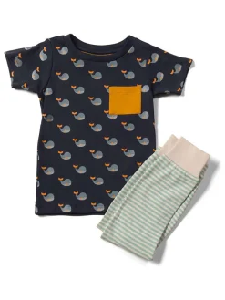 2tlg. Outfit un Dunkelblau/ Grau
