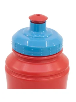Trinkflasche 