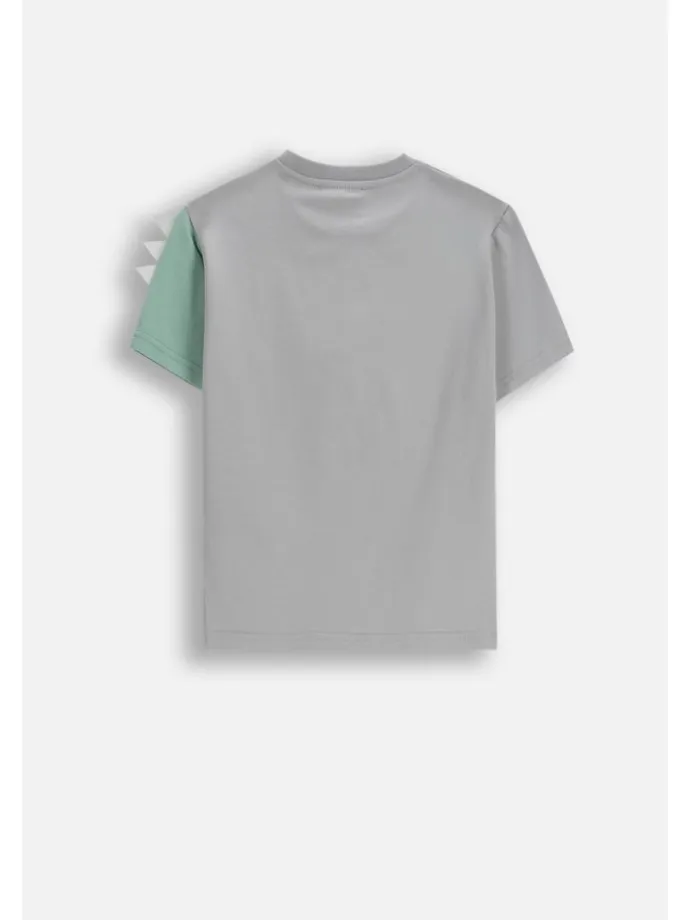 T-Shirt mit kurzen Ärmeln in grau
