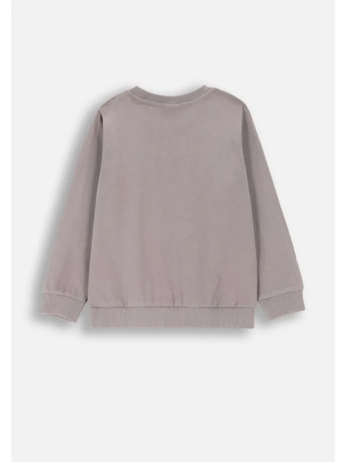 T-Shirt mit langen Ärmeln in grau