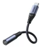 USB-C DAC-Adapter auf 3,5-mm-Miniklinke Schwarz