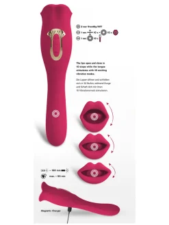Vibrator
