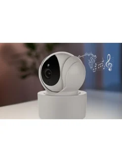 Video Babyphone 4.3