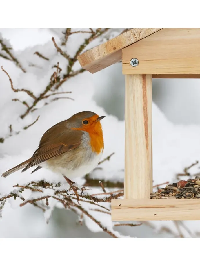 Vogelhaus in Natur