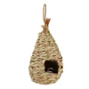 Vogelnest in Natur