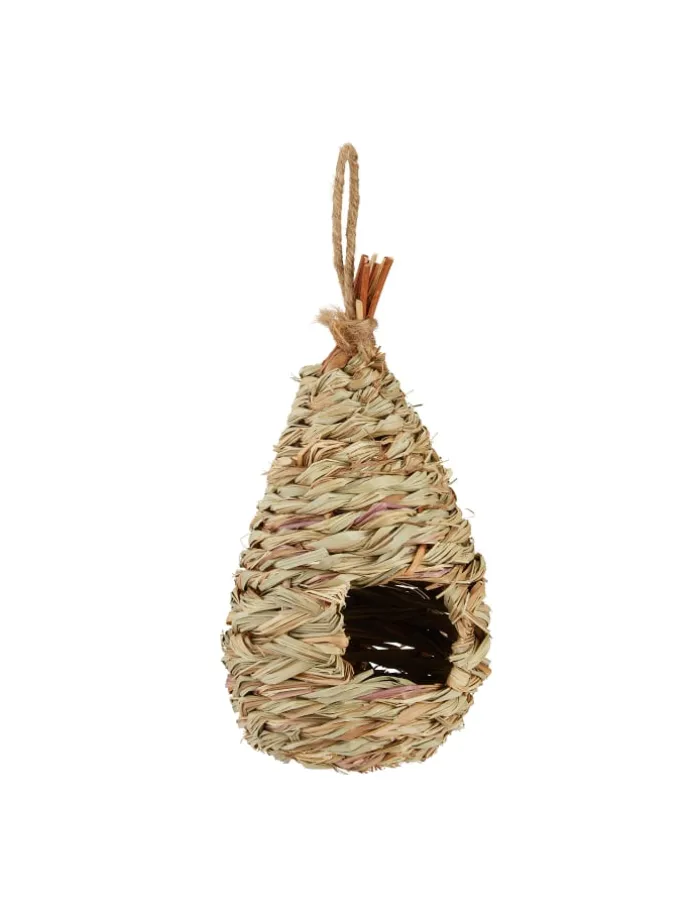 Vogelnest in Natur