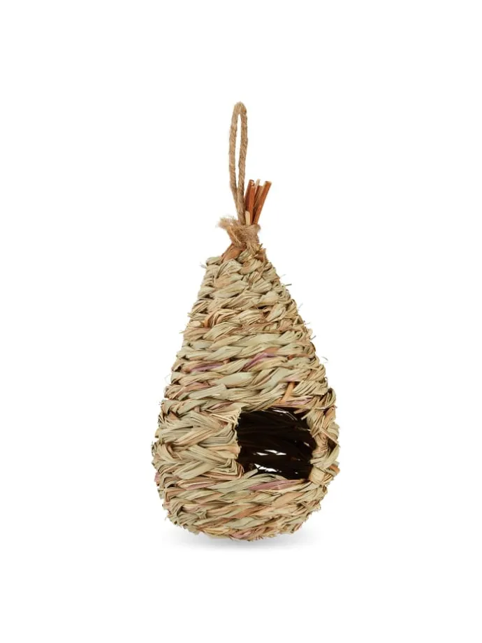 Vogelnest in Natur