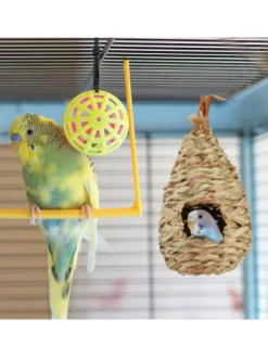 Vogelnest in Natur