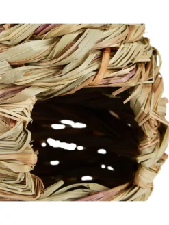 Vogelnest in Natur