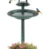 Vogeltränke mit Solarleuchte in Grün