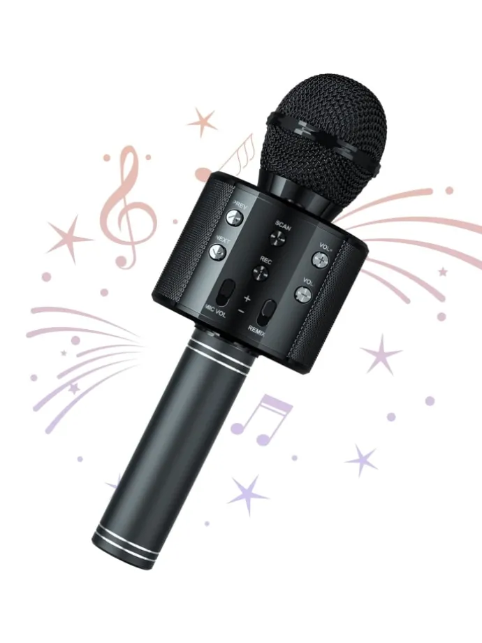 WS-858 Wireless Hifi Speaker Bluetooth Karaoke Mikrofon Schwarz
