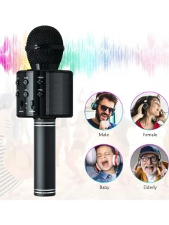 WS-858 Wireless Hifi Speaker Bluetooth Karaoke Mikrofon Schwarz