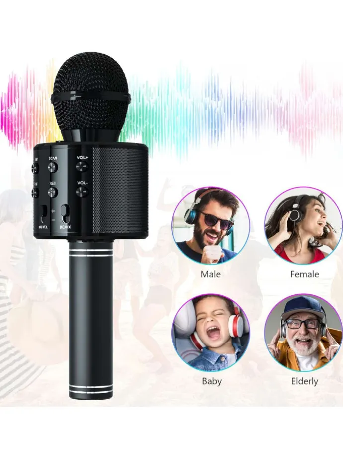 WS-858 Wireless Hifi Speaker Bluetooth Karaoke Mikrofon Schwarz