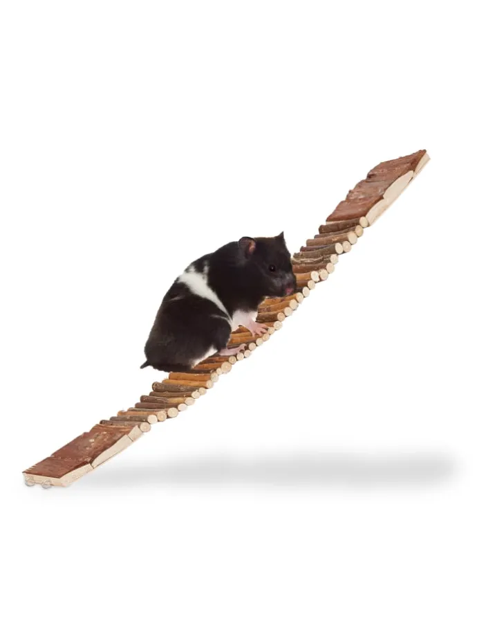 3x Hängebrücke in Natur - (B)55 x (T)10 cm