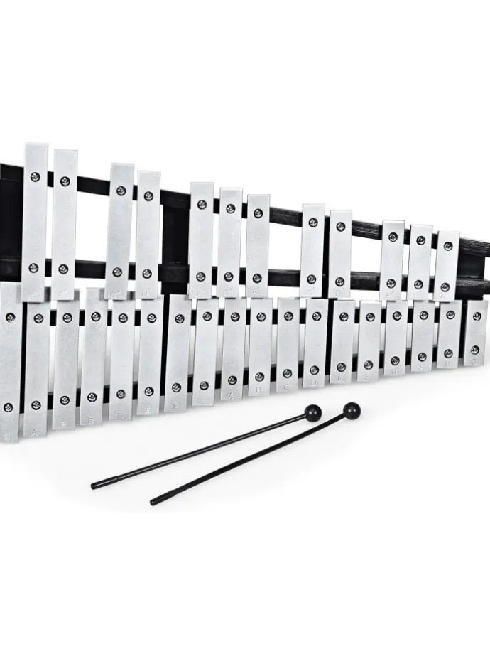 Xylophon 30 Noten in Silber