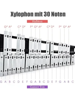 Xylophon 30 Noten in Silber