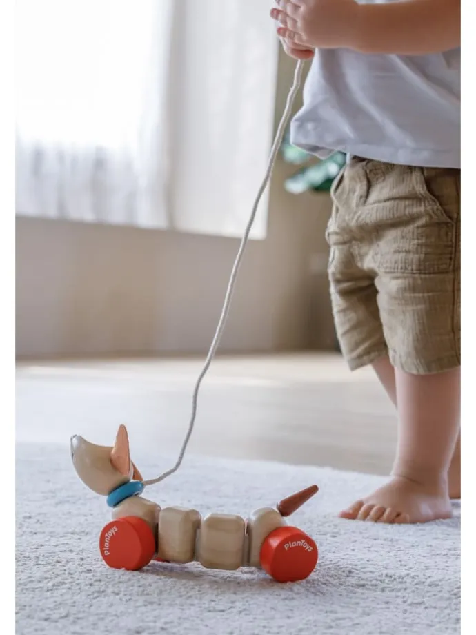 Ziehtier Happy Puppy ab 12 Monate