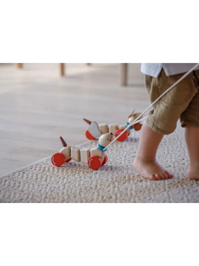 Ziehtier Happy Puppy ab 12 Monate
